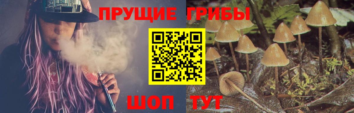 Псилоцибиновые грибы прущие грибы Липецк